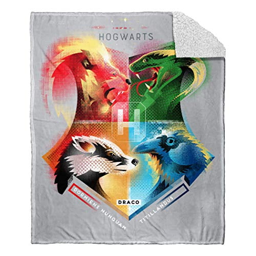 Playing Quiddich 46 x 67 Tapestry Throw Playing Quiddich 46 x 67 Tapestry Throw